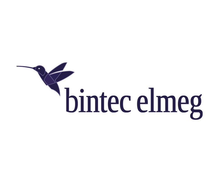 Logo bintec